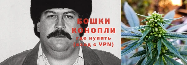 марки nbome Козловка