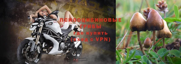 прущие крисы Козельск